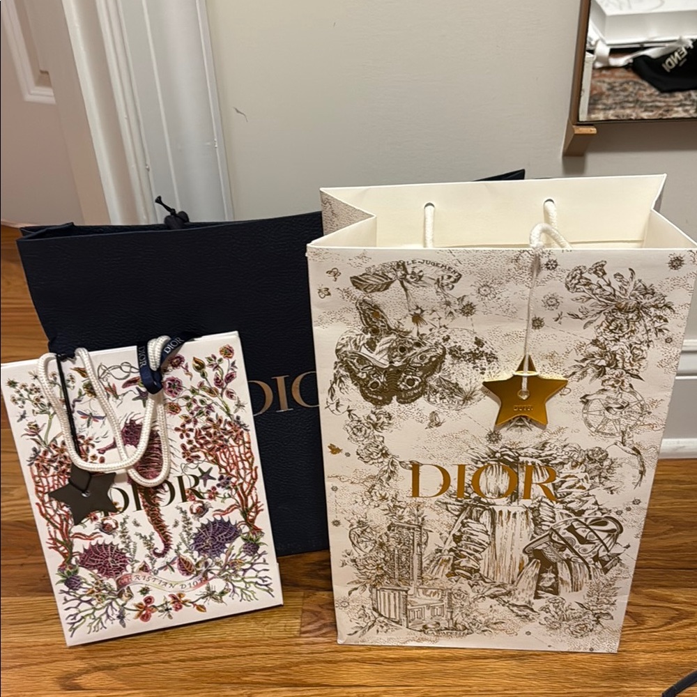 Dior Shopping Gift bags